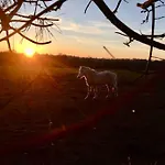 Poneys 40min Mt St Michel 30min Draps Serviettes Baie Normandie