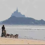 Vakantiehuis Poneys 40min Mt St Michel 30min Draps Serviettes Baie Normandie