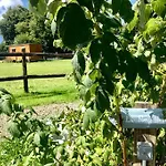 Poneys 40min Mt St Michel 30min Draps Serviettes Baie Normandie Vakantiehuis *