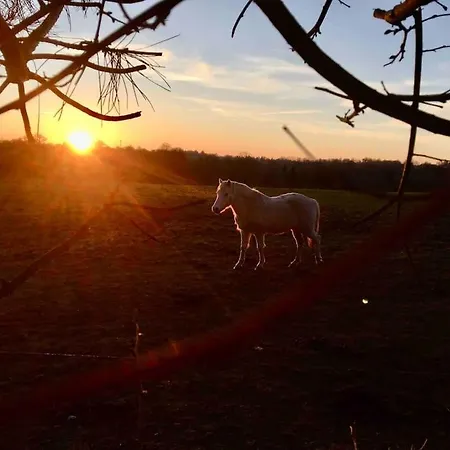 Vue Poneys, 40min Mt St Michel 30min Draps Serviettes Baie Normandie