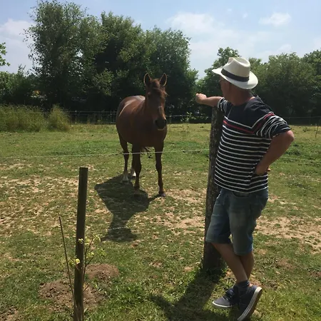 Poneys Dday 1H Mt St Michel 40Min Mer 30Min Draps Serviettes Baie Normandie Cottage Tatil Evi