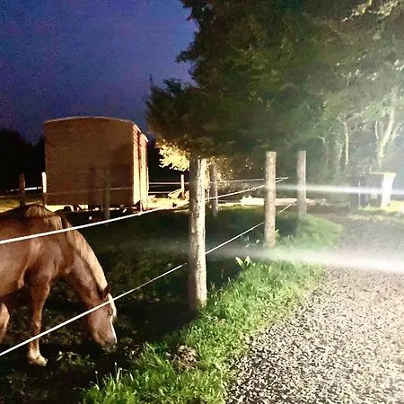 Feriehus Poneys 40min Mt St Michel 30min Draps Serviettes Baie Normandie *