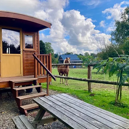 Vue Poneys, 40min Mt St Michel 30min Draps Serviettes Baie Normandie