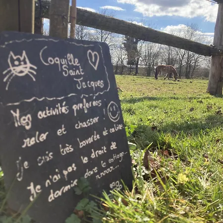 Vue Poneys, 40min Mt St Michel 30min Draps Serviettes Baie Normandie בית נופש La Chapelle-Cécelin