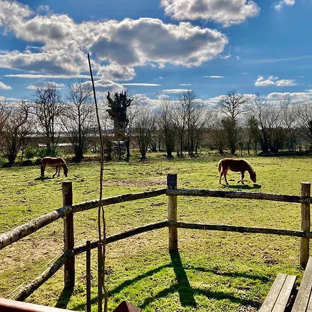 Holiday home Vue Poneys, 40min Mt St Michel 30min Draps Serviettes Baie Normandie