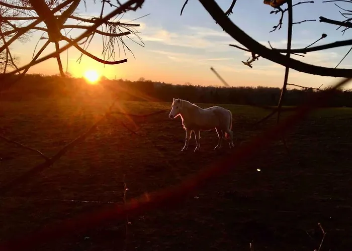 Poneys 40min Mt St Michel 30min Draps Serviettes Baie Normandie