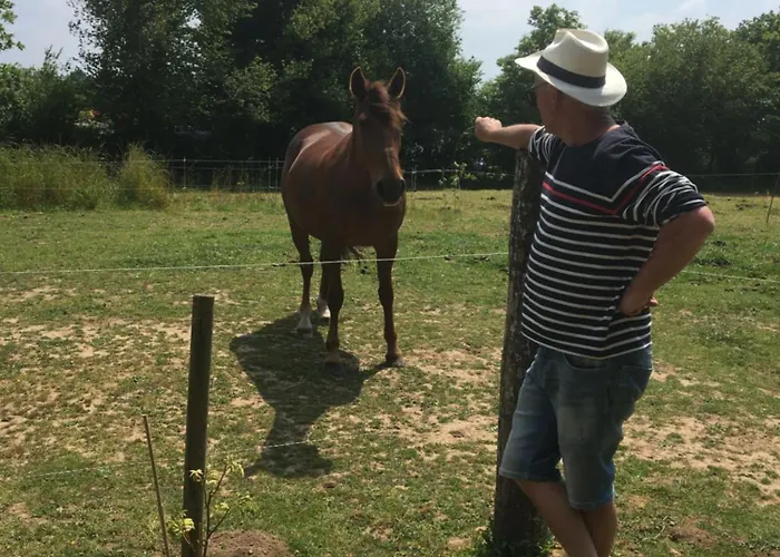 Poneys 40min Mt St Michel 30min Draps Serviettes Baie Normandie Feriehus