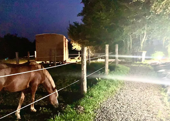 Feriehus Poneys 40min Mt St Michel 30min Draps Serviettes Baie Normandie *