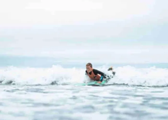 Feriehus Poneys 40min Mt St Michel 30min Draps Serviettes Baie Normandie La Chapelle-Cécelin