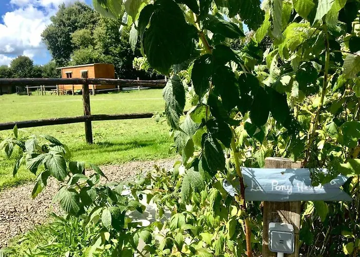 Poneys 40min Mt St Michel 30min Draps Serviettes Baie Normandie Feriehus *