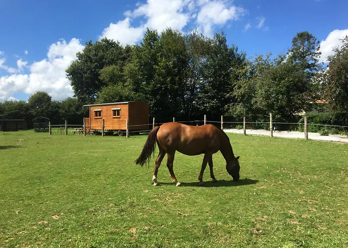 Feriehus Poneys 40min Mt St Michel 30min Draps Serviettes Baie Normandie