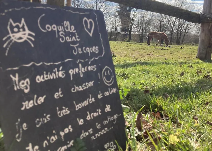 Vue Poneys, 40min Mt St Michel 30min Draps Serviettes Baie Normandie Holiday home La Chapelle-Cecelin