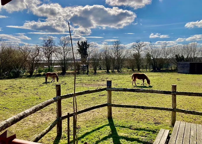 Feriehus Poneys 40min Mt St Michel 30min Draps Serviettes Baie Normandie